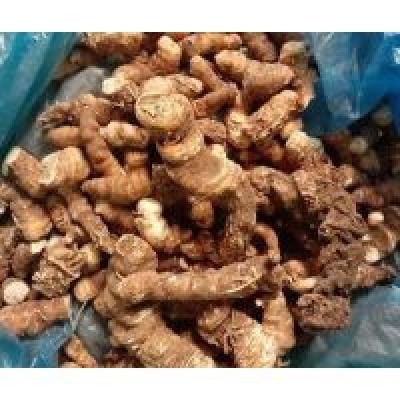 Buy Pure Dry Satuwa Root – Health Benefits and  Uses | Sri Herbal